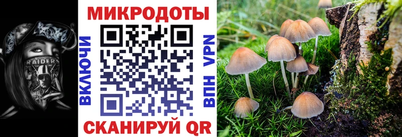 Псилоцибиновые грибы мухоморы  Купить где  Весьегонск 
