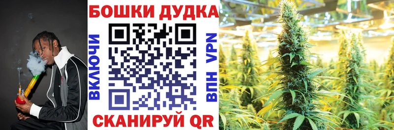 Бошки Шишки план  Купить  Весьегонск 